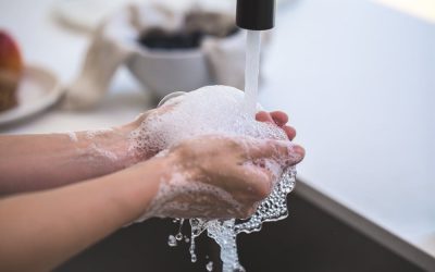 Innovative Behavior Options COVID-19 Update and FAQs